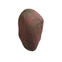 Sweet Potato